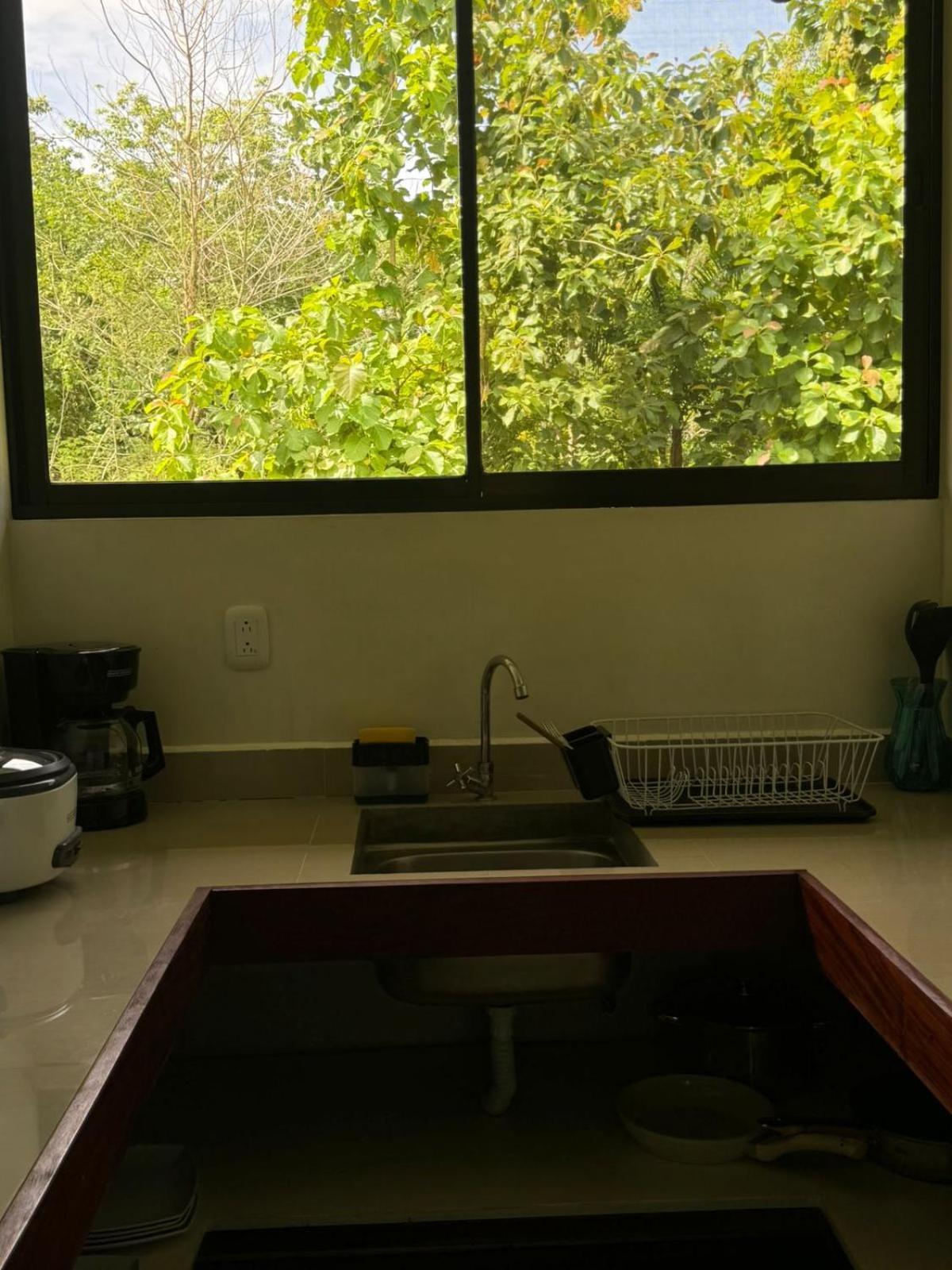 Luz De Estrella Studios Cabuya  Esterno foto