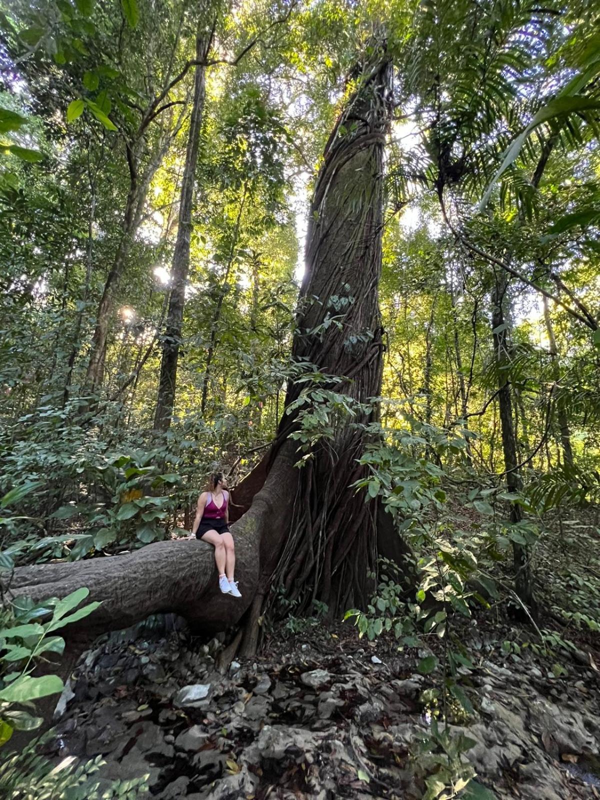 Luz De Estrella Studios Cabuya  Esterno foto